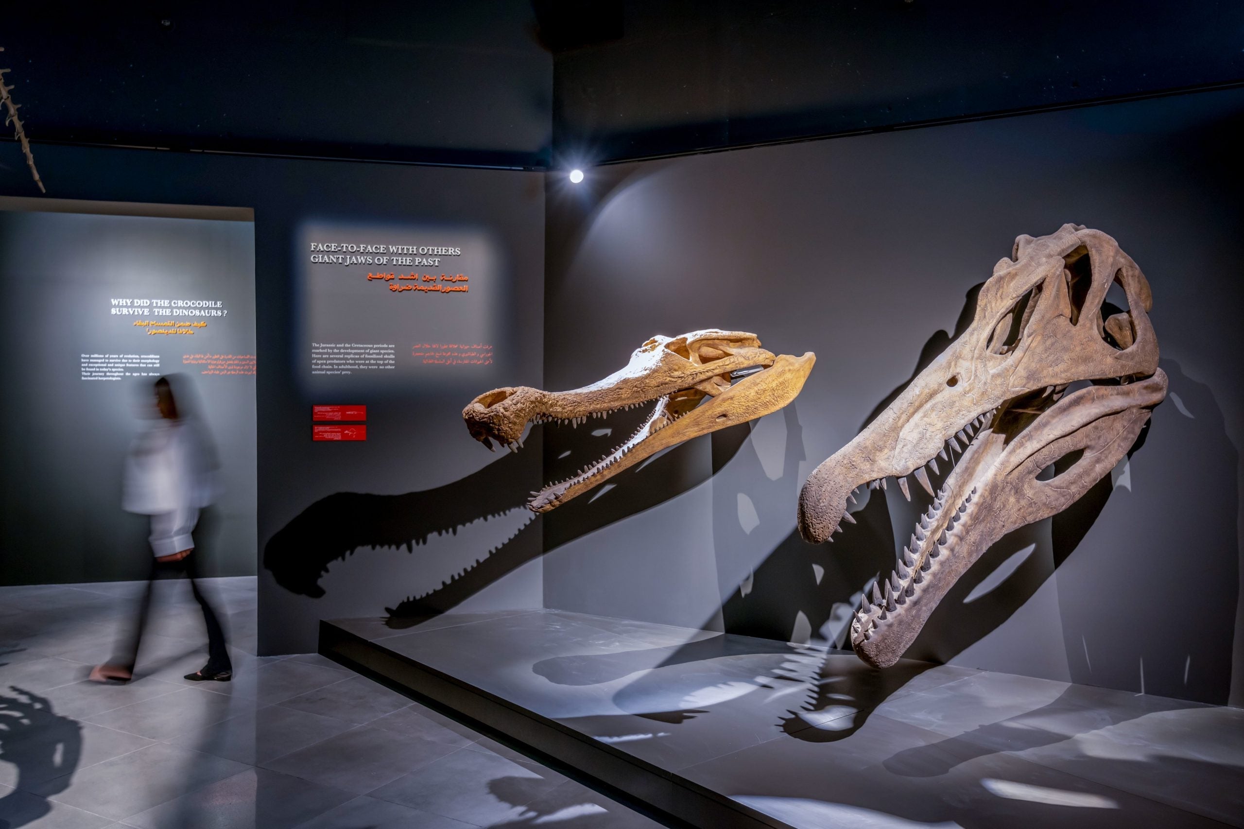 Crocodile Park Dubai Selects Cyclops Lighting for their Museum