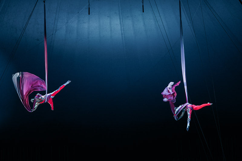 Pluma The Show Selects DAS Audio for an Immersive Circus Sound Experience