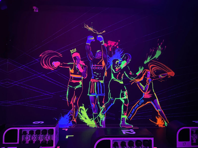 Slider image for Boxica High-tech Boxing Concept Teams up with Procom for Sound and Lighting Solution