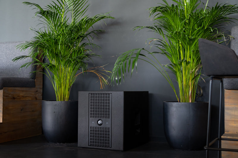 Slider image for Iris Dubai Pop-up Features DAS Audio at Expo 2020 Dubai