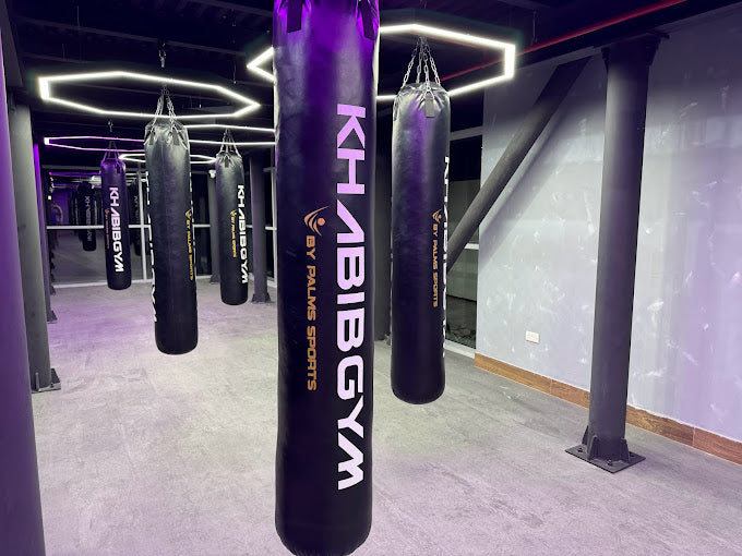 Slider image for Khabib Gym Selects Cyclops Lighting, Madrix, and VisioTekk