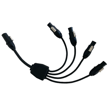 Astera -Distribution Cable for AX2 Cases