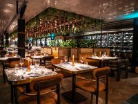 Clay Bahrain Gets Full Audio Solution for a Unique Dining Experience