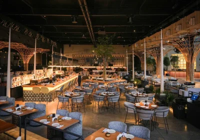 Cyclops Lighting Elevates the Experience at Iris Dubai