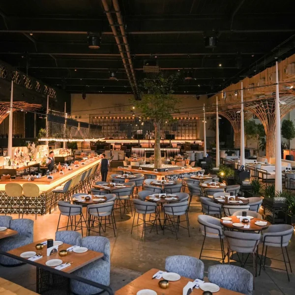 Cyclops Lighting Elevates the Experience at Iris Dubai